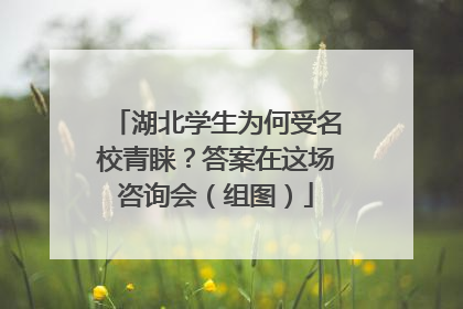 湖北学生为何受名校青睐？答案在这场咨询会（组图）