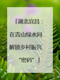 湖北宜昌：在青山绿水间解锁乡村振兴“密码”