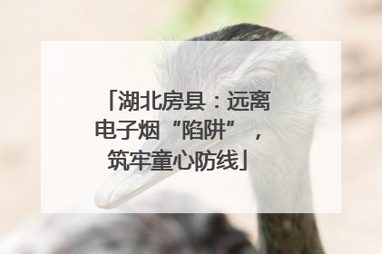湖北房县：远离电子烟“陷阱”，筑牢童心防线