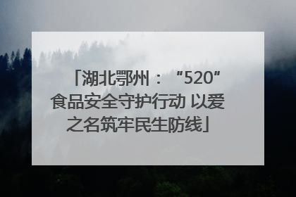 湖北鄂州：“520”食品安全守护行动 以爱之名筑牢民生防线