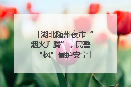 湖北随州夜市“烟火升腾”，民警“枫”景护安宁