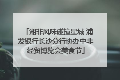湘非风味碰撞星城 浦发银行长沙分行协办中非经贸博览会美食节