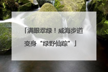 满眼翠绿！威海步道变身“绿野仙踪”