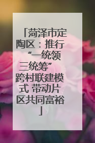菏泽市定陶区：推行“一统领 三统筹” 跨村联建模式 带动片区共同富裕