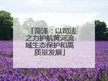菏泽：以司法之力护航黄河流域生态保护和高质量发展