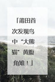 莆田首次发现鸟中“大熊猫”黄腹角雉！