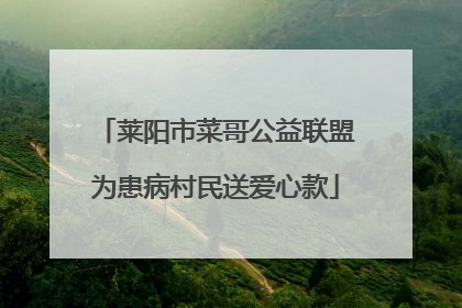 莱阳市菜哥公益联盟为患病村民送爱心款
