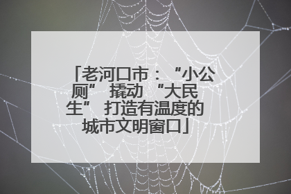 老河口市：“小公厕” 撬动 “大民生” 打造有温度的城市文明窗口