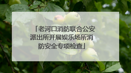老河口消防联合公安派出所开展娱乐场所消防安全专项检查