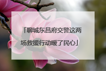 聊城东昌府交警这两场救援行动暖了民心
