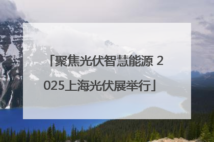 聚焦光伏智慧能源 2025上海光伏展举行