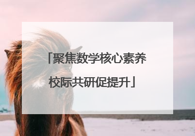 聚焦数学核心素养 校际共研促提升