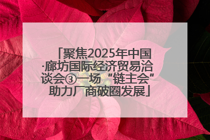 聚焦2025年中国·廊坊国际经济贸易洽谈会③一场“链主会” 助力厂商破圈发展