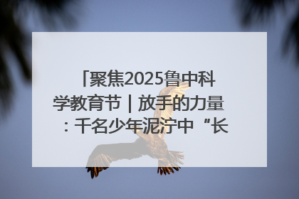 聚焦2025鲁中科学教育节｜放手的力量：千名少年泥泞中“长出勇敢翅膀”