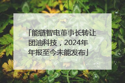 能链智电董事长转让团油科技，2024年年报至今未能发布