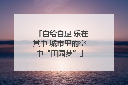 自给自足 乐在其中 城市里的空中“田园梦”