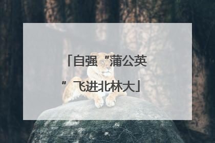 自强“蒲公英”飞进北林大