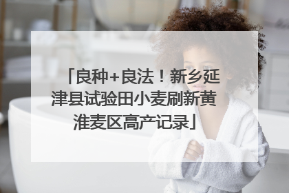 良种+良法！新乡延津县试验田小麦刷新黄淮麦区高产记录