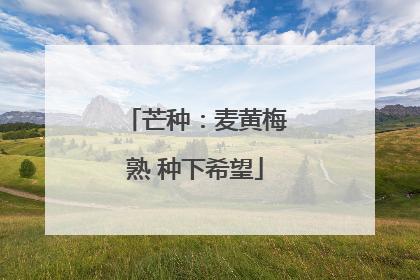 芒种：麦黄梅熟 种下希望