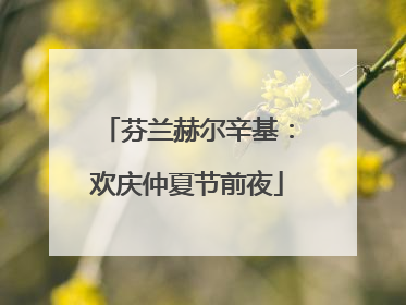 芬兰赫尔辛基：欢庆仲夏节前夜