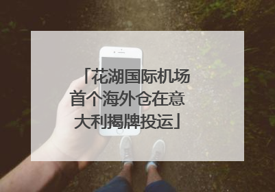 花湖国际机场首个海外仓在意大利揭牌投运