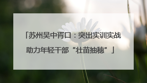 苏州吴中胥口：突出实训实战 助力年轻干部“壮苗抽穗”