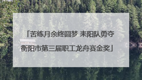 苦练月余终圆梦 耒阳队勇夺衡阳市第三届职工龙舟赛金奖