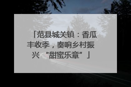 范县城关镇：香瓜丰收季，奏响乡村振兴 “甜蜜乐章”