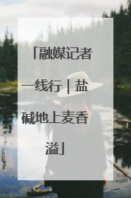 融媒记者一线行｜盐碱地上麦香溢