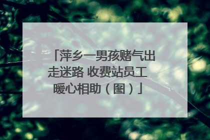 萍乡一男孩赌气出走迷路 收费站员工暖心相助（图）