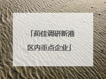 蔺佳调研新港区内重点企业