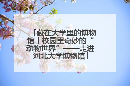 藏在大学里的博物馆丨校园里奇妙的“动物世界”——走进河北大学博物馆