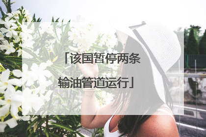 该国暂停两条输油管道运行