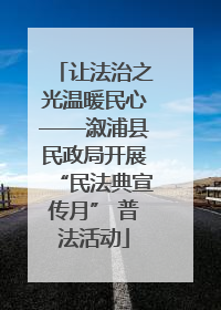 让法治之光温暖民心——溆浦县民政局开展“民法典宣传月” 普法活动