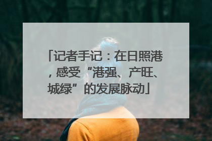 记者手记：在日照港，感受“港强、产旺、城绿”的发展脉动