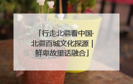 行走北疆看中国·北疆百城文化探源｜鲜卑故里话融合