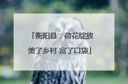 衡阳县：荷花绽放 美了乡村 富了口袋