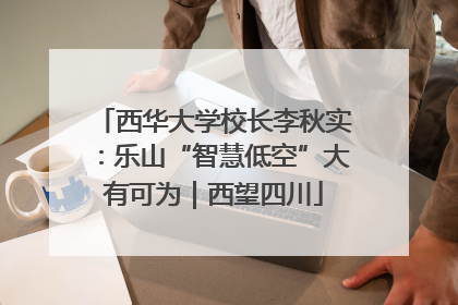 西华大学校长李秋实：乐山“智慧低空”大有可为｜西望四川