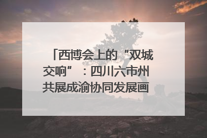 西博会上的“双城交响”：四川六市州共展成渝协同发展画卷｜西博视界