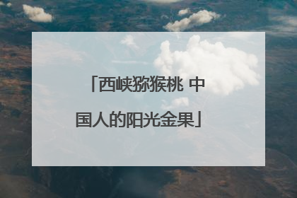 西峡猕猴桃 中国人的阳光金果
