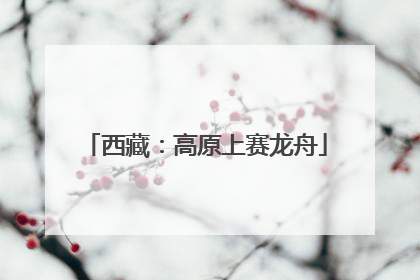 西藏：高原上赛龙舟