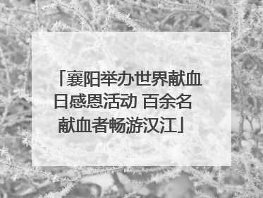 襄阳举办世界献血日感恩活动 百余名献血者畅游汉江
