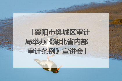 襄阳市樊城区审计局举办《湖北省内部审计条例》宣讲会