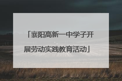 襄阳高新一中学子开展劳动实践教育活动