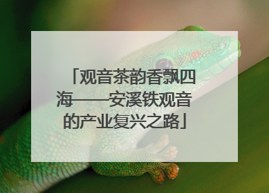 观音茶韵香飘四海——安溪铁观音的产业复兴之路