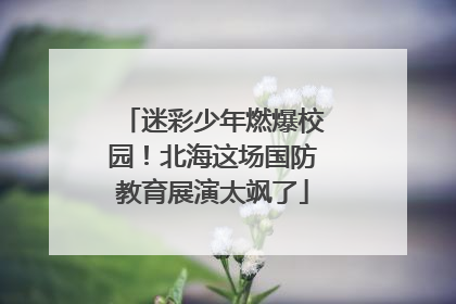 迷彩少年燃爆校园！北海这场国防教育展演太飒了