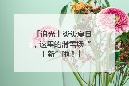 追光丨炎炎夏日，这里的滑雪场“上新”啦！
