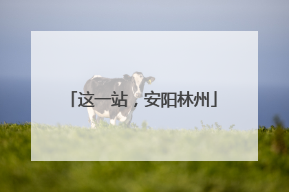 这一站，安阳林州