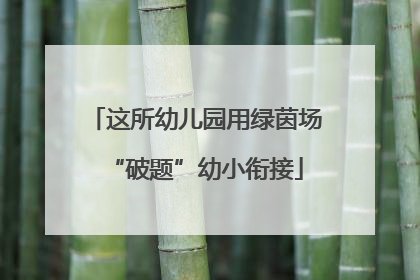 这所幼儿园用绿茵场“破题”幼小衔接