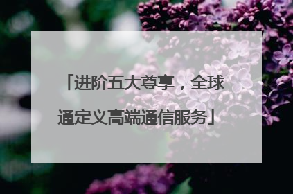 进阶五大尊享，全球通定义高端通信服务
